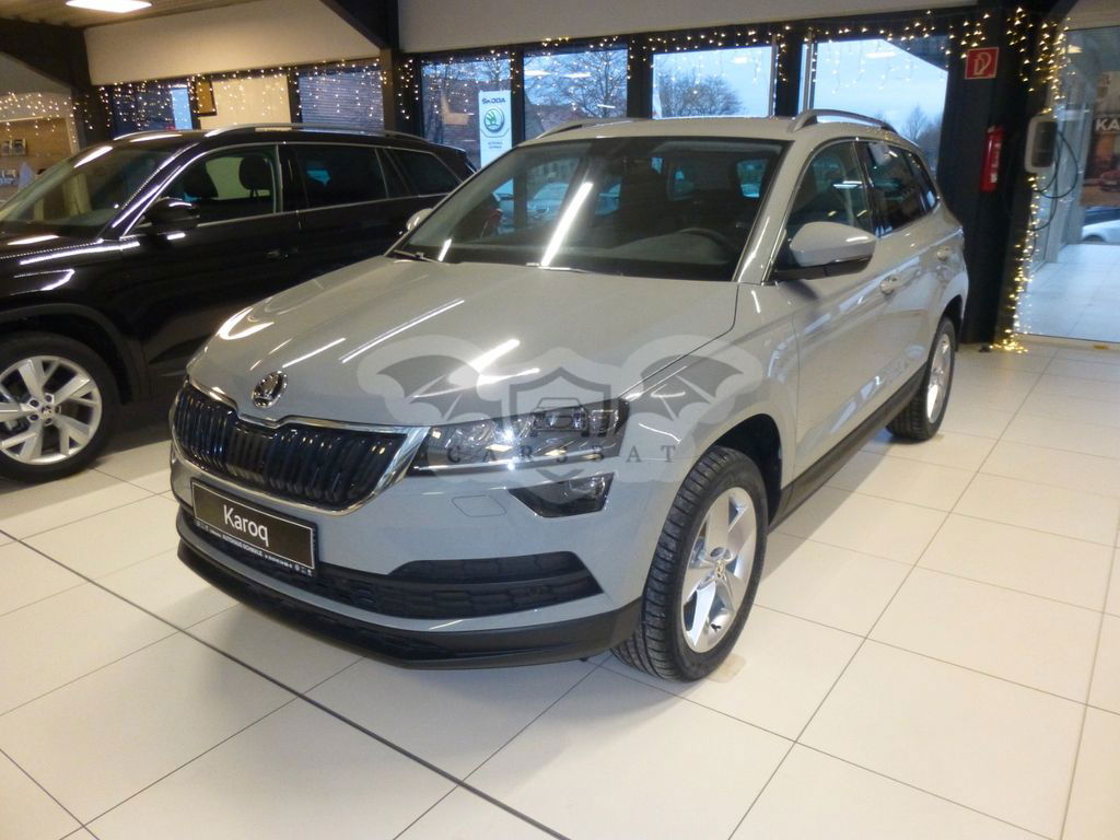 Skoda Karoq 2022