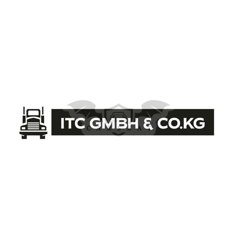 MAN TGX 2004
