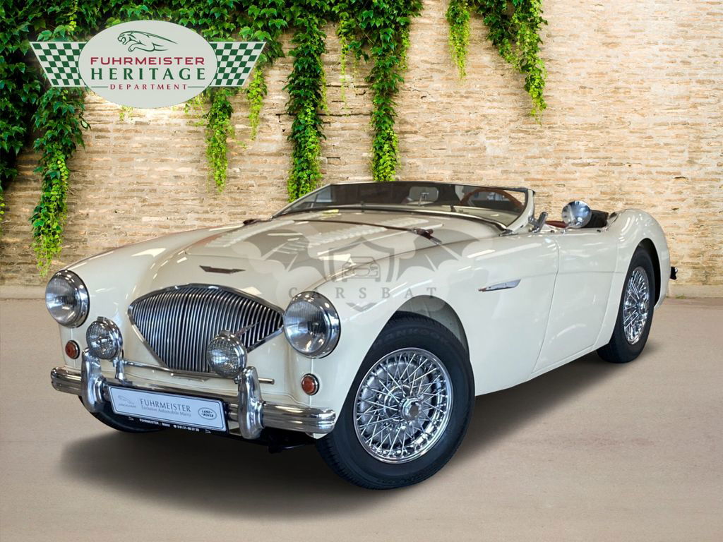 Austin Healey 100 1954