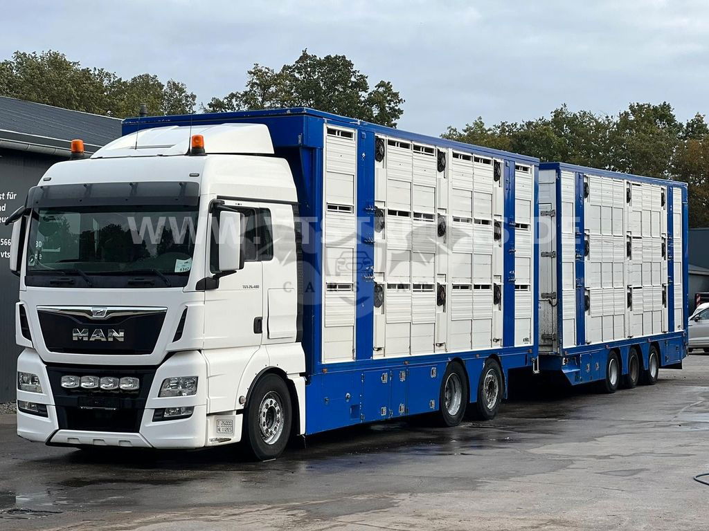 MAN TGX 2016