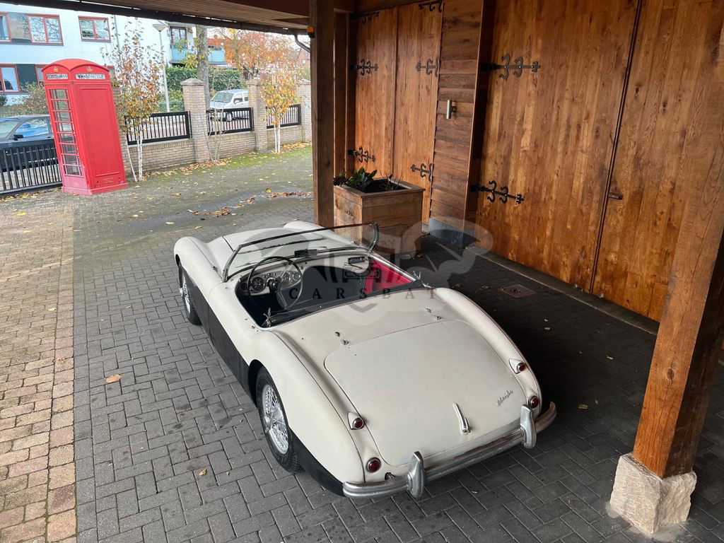 Austin Healey 100 1956