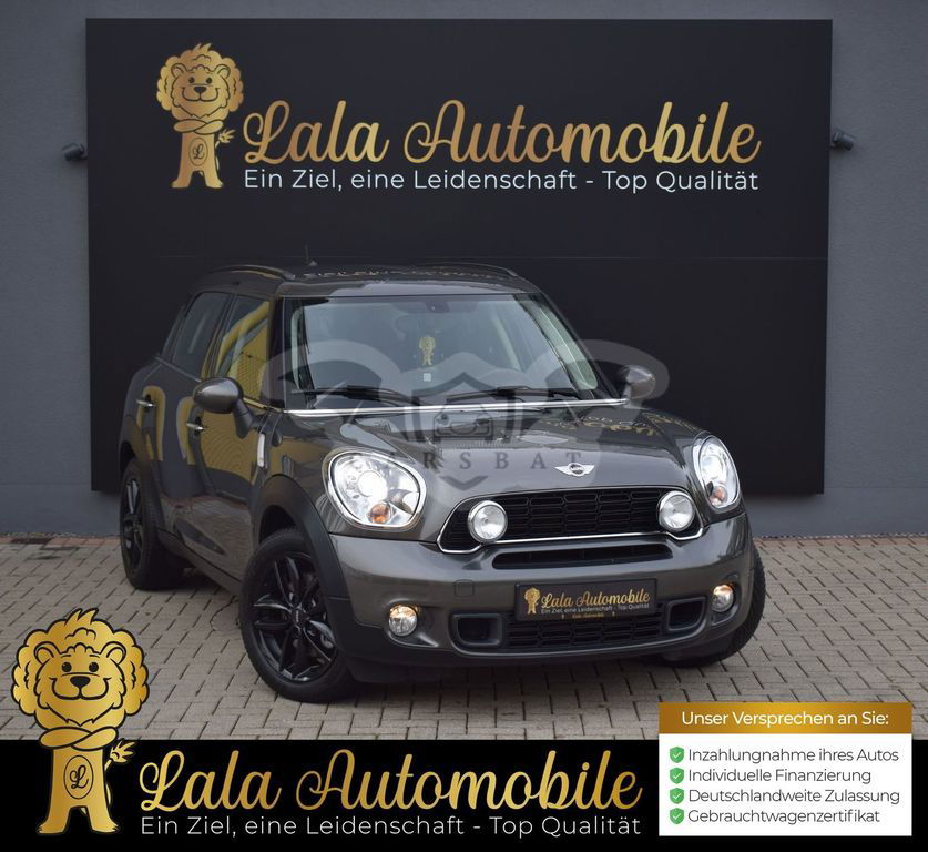Mini Countryman 2013