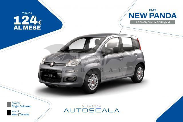 Fiat Panda 2022