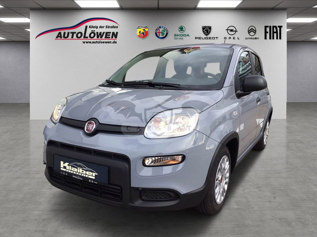 Fiat Panda 2024