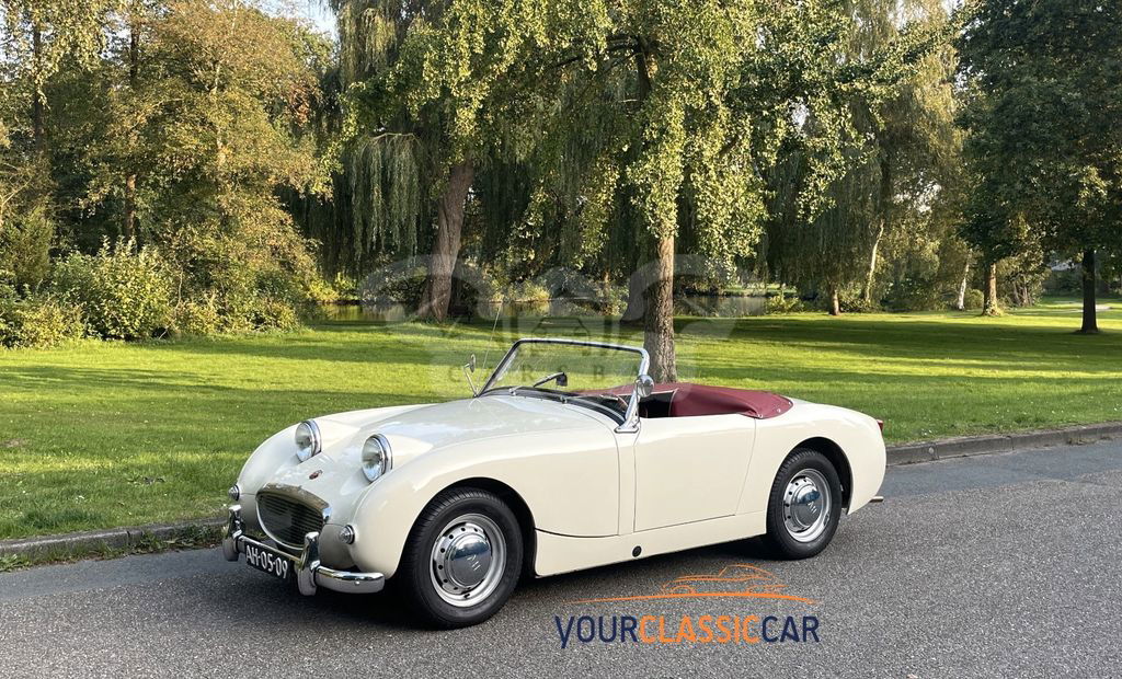 Austin Healey Sprite 1959