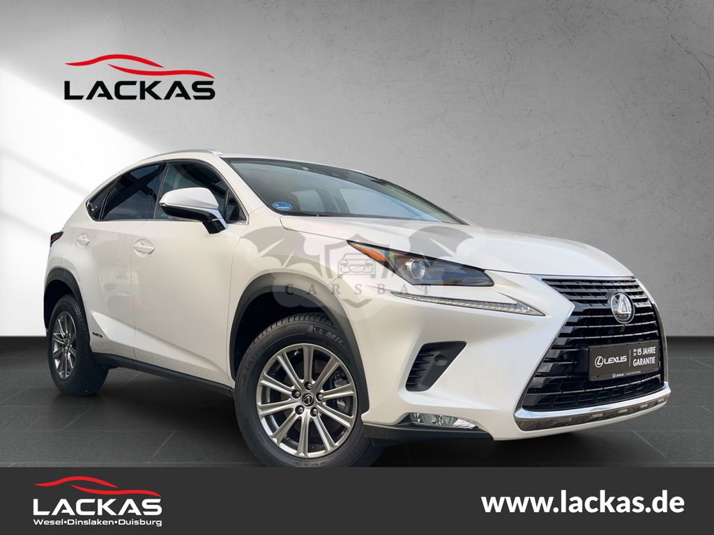 Lexus NX 300 2021