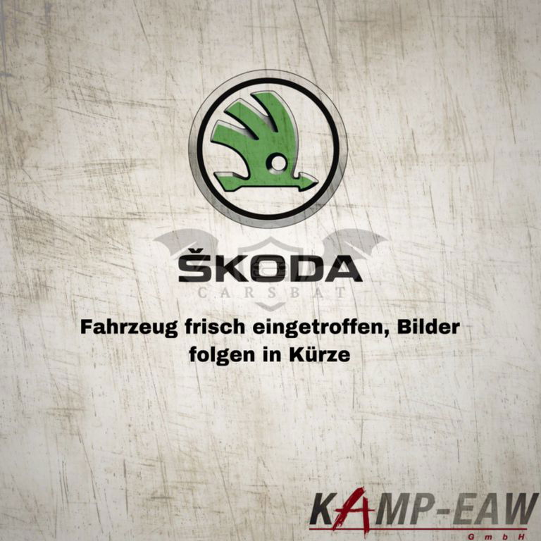 Skoda Kamiq 2022