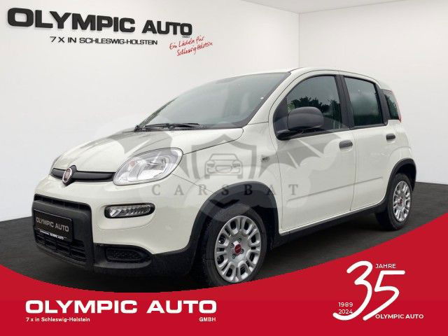 Fiat Panda 2024