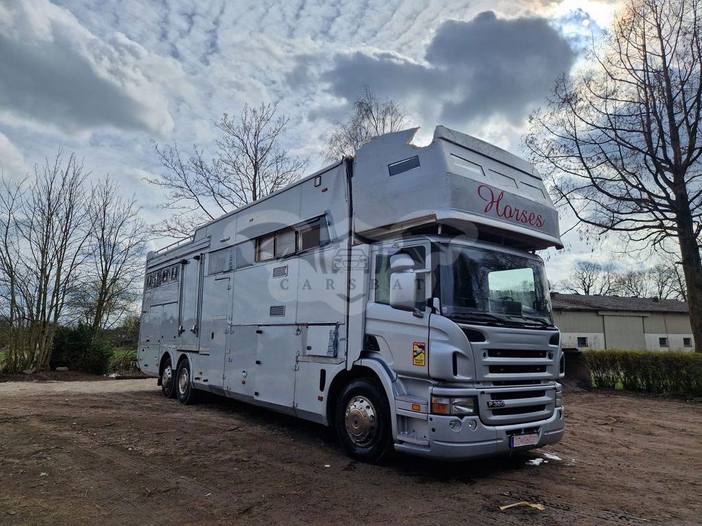 Scania P-series 2008