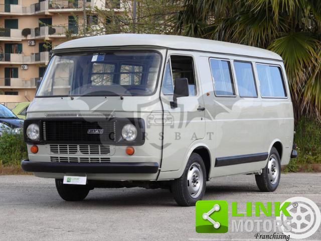Fiat 238 1981