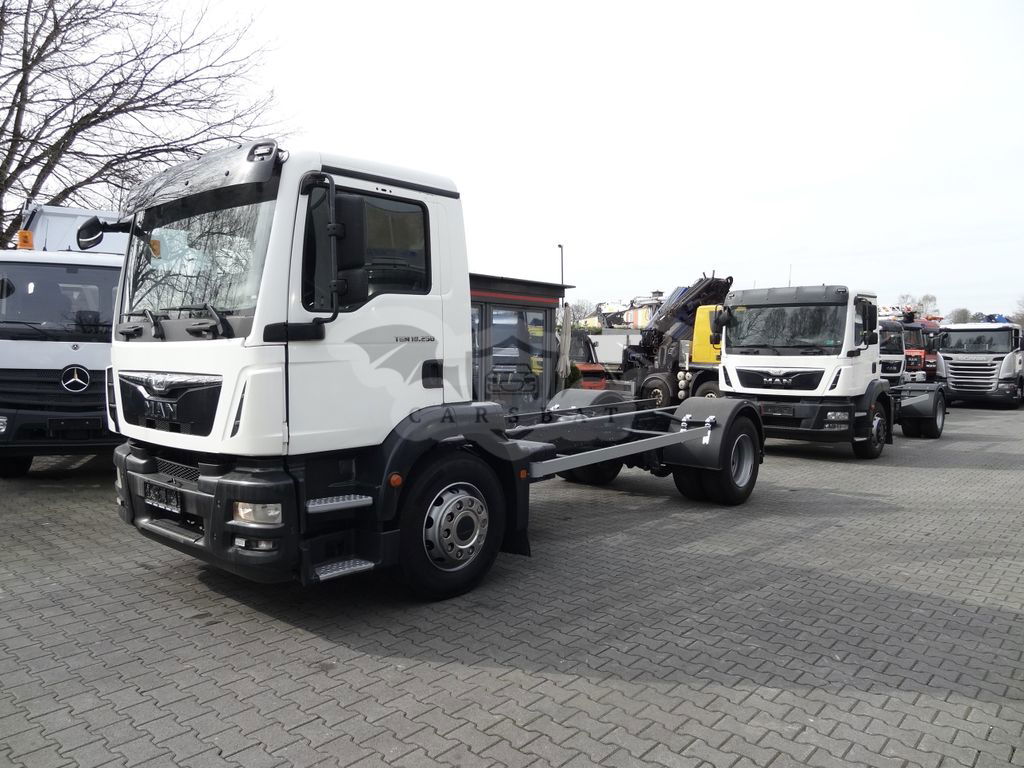 MAN TGX 2015