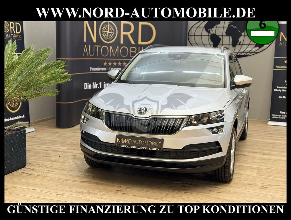 Skoda Karoq 2019