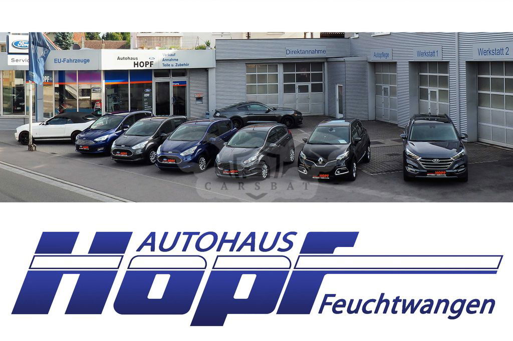Ford B-Max 2013