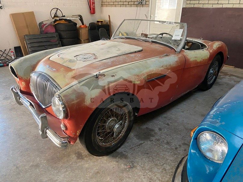 Austin Healey 100 1953