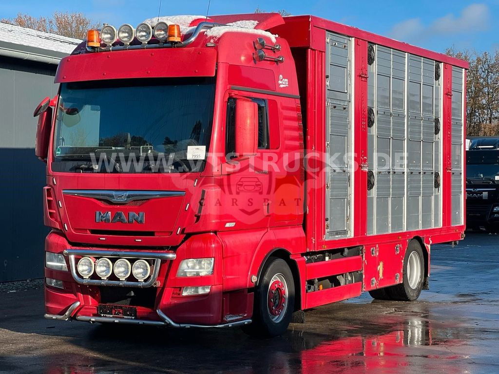 MAN TGX 2016