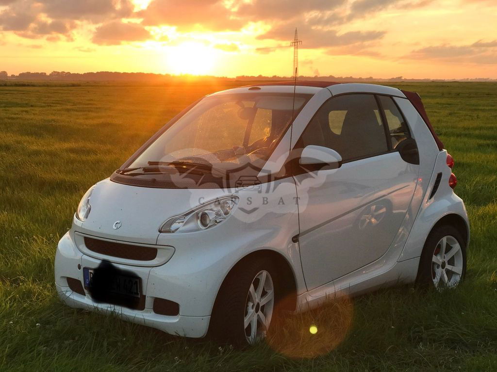 Smart Fortwo 2011