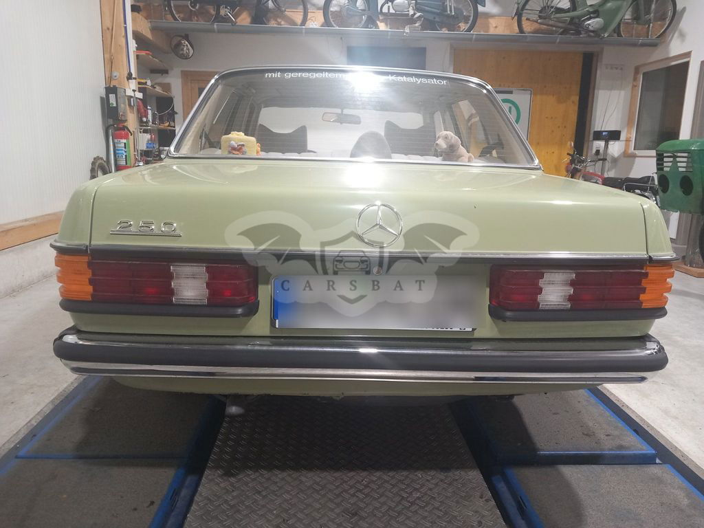 Mercedes-Benz 250 1979