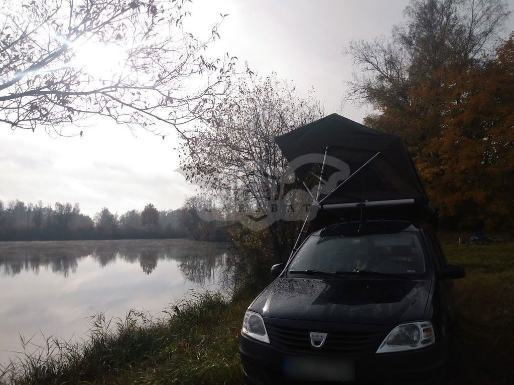 Dacia Logan 2010