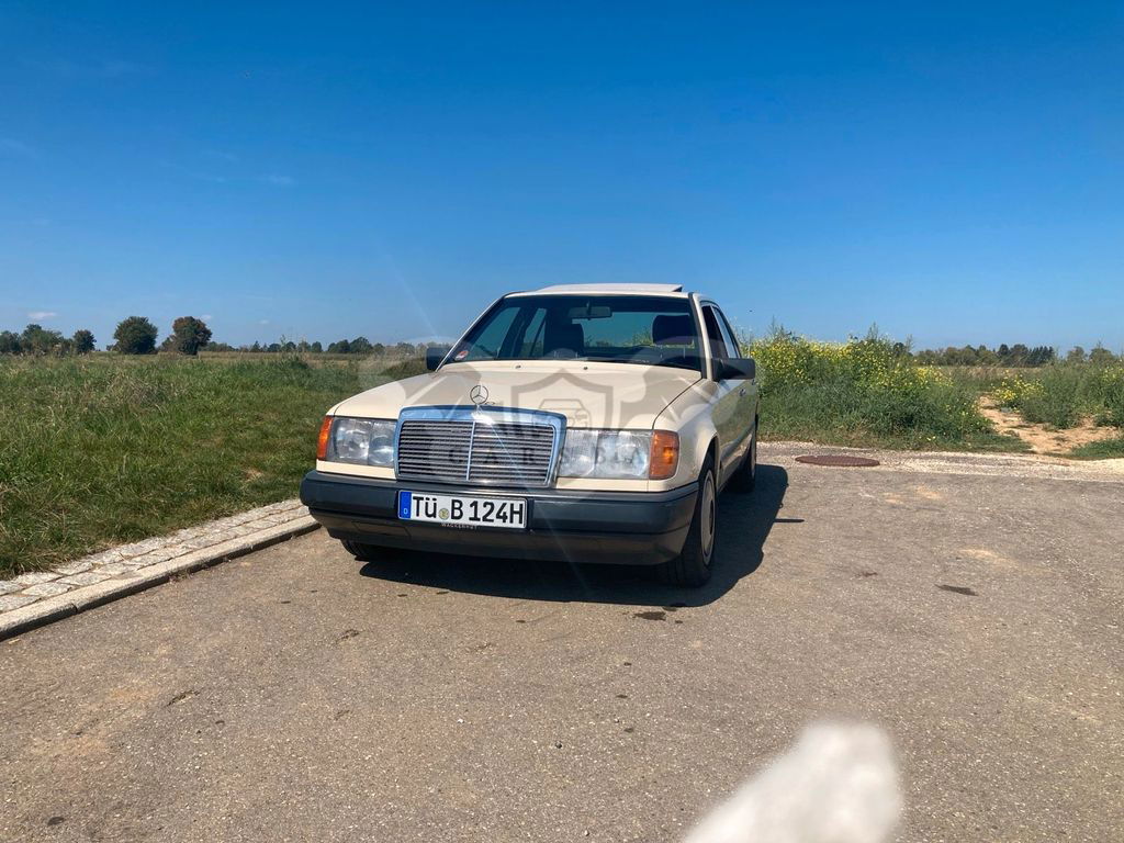 Mercedes-Benz 250 1989