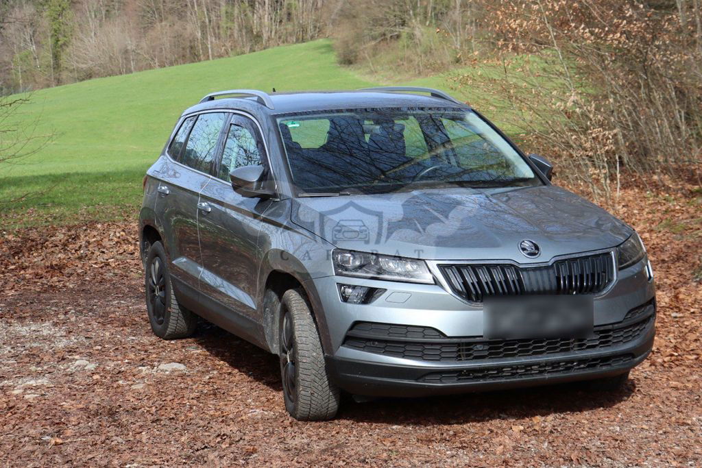 Skoda Karoq 2019