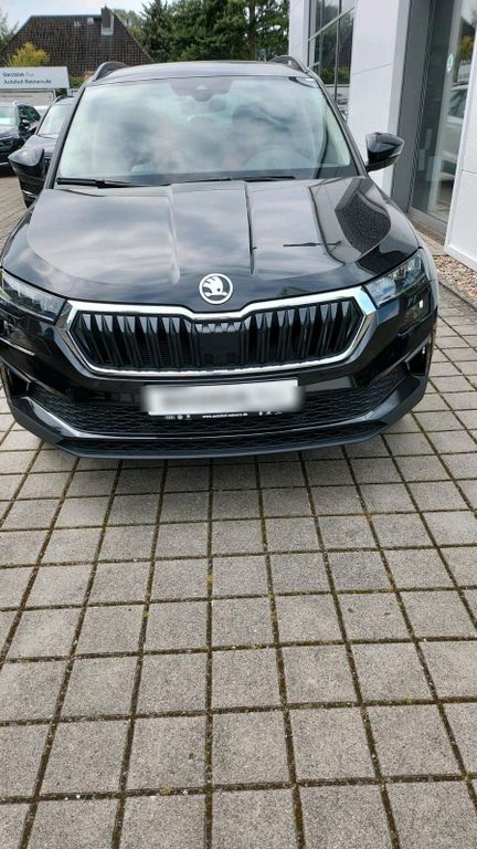 Skoda Karoq 2022