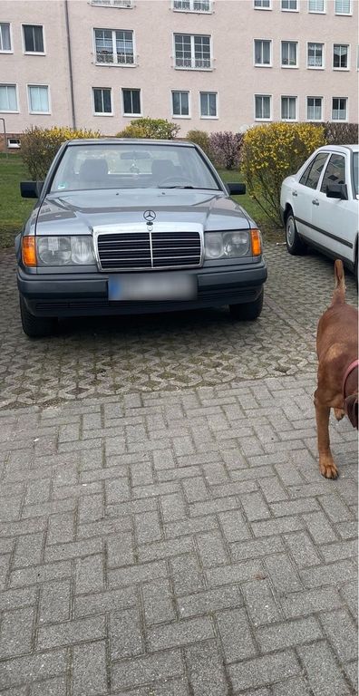 Mercedes-Benz V 230 1988