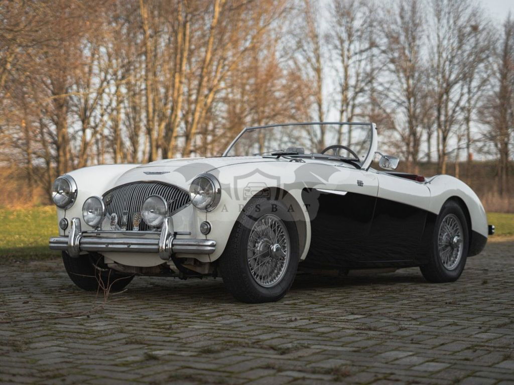 Austin Healey 100 1955