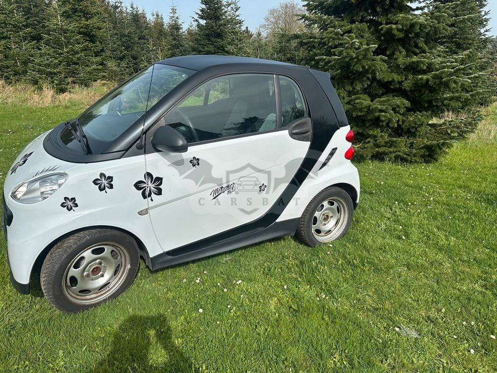 Smart Fortwo 2012