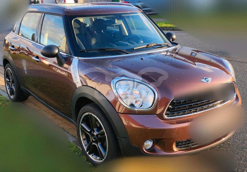 Mini Countryman 2013
