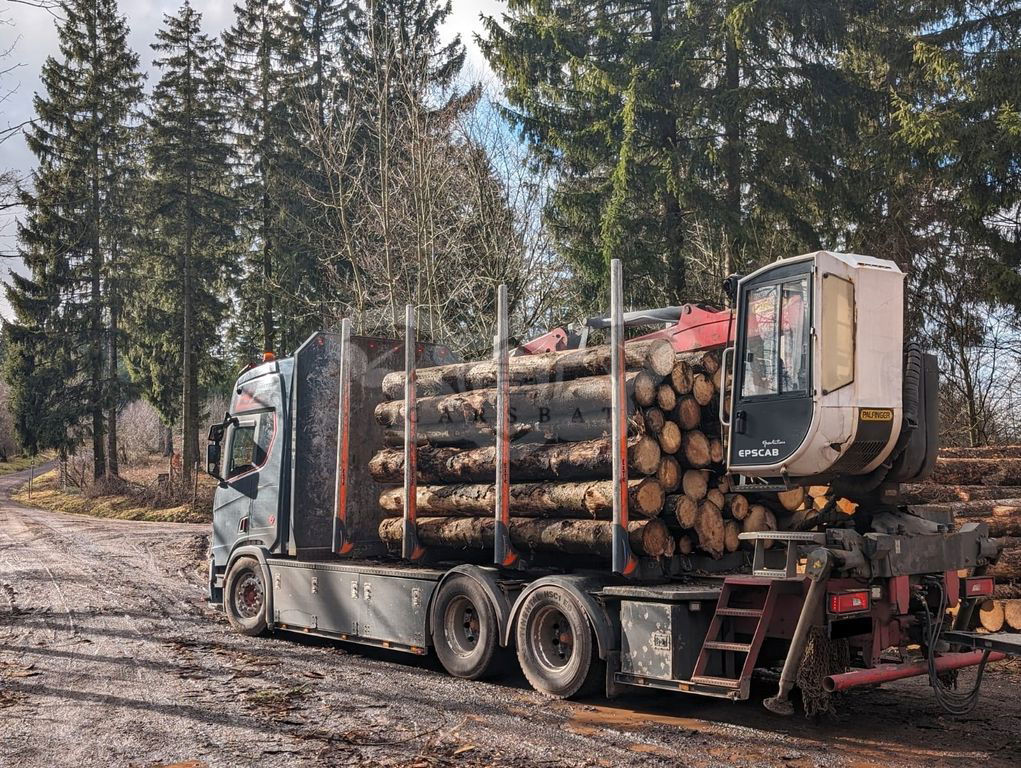 Scania R-series 2019