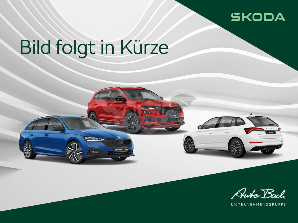 Skoda Karoq 2019