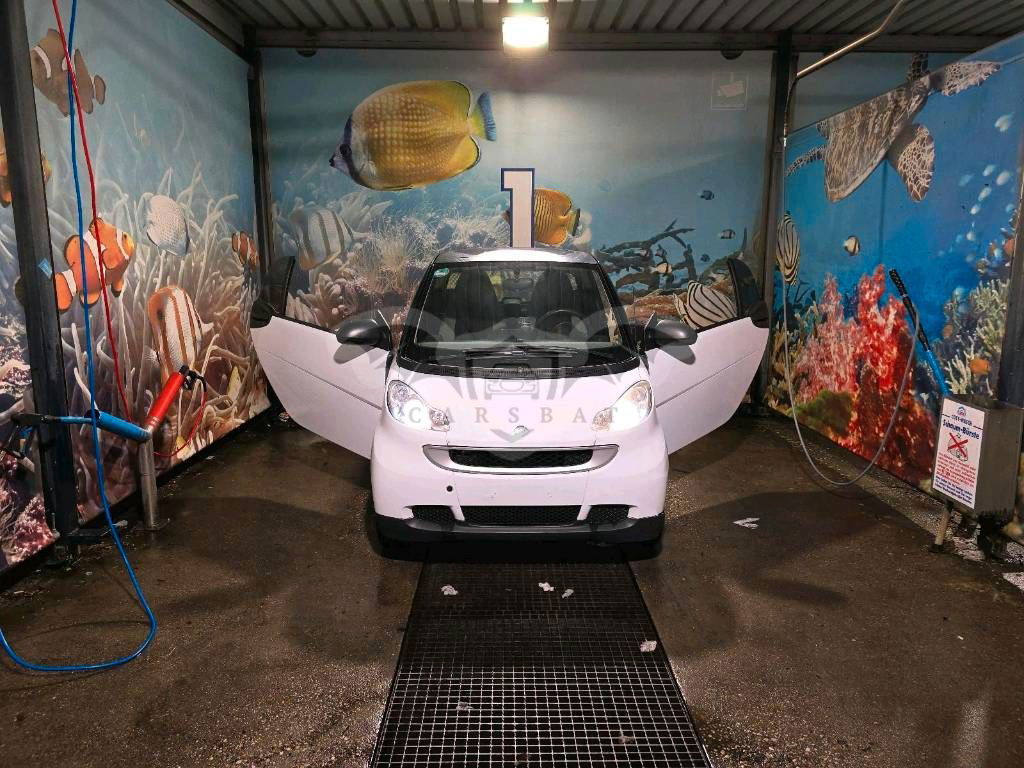 Smart Fortwo 2010