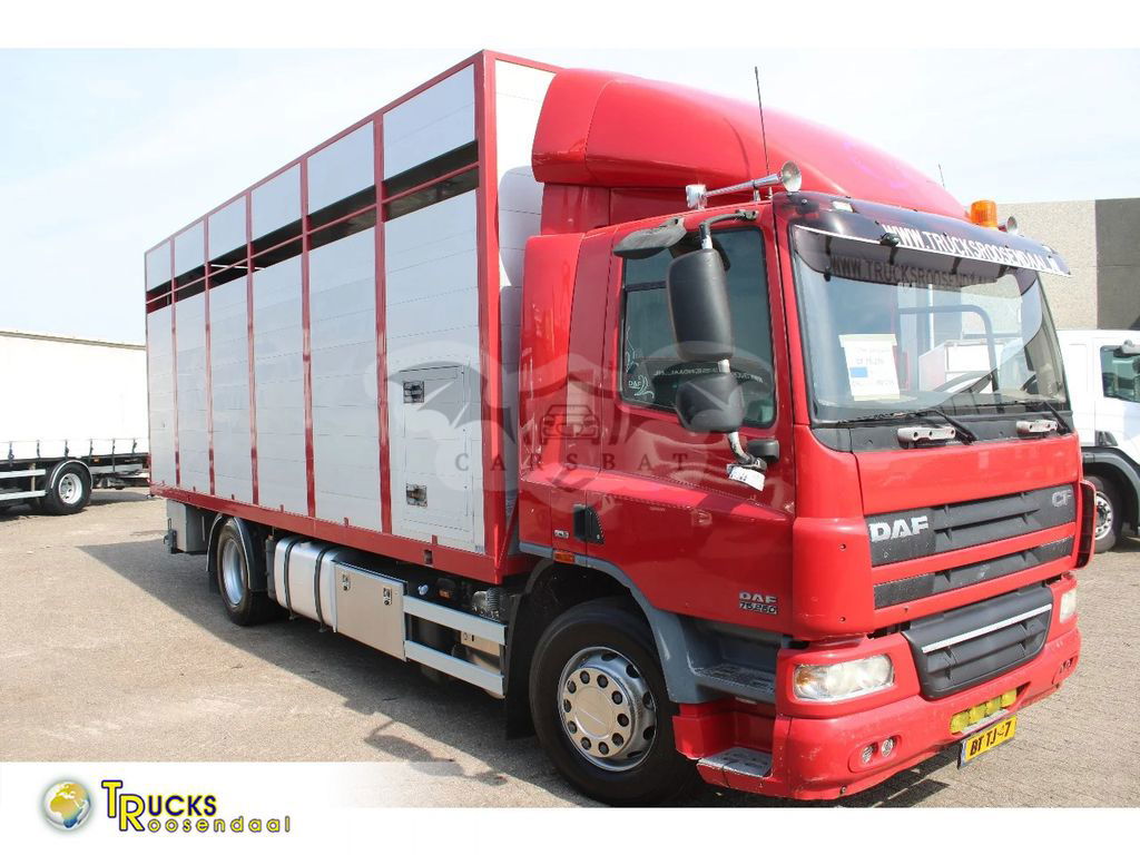 DAF CF 2008