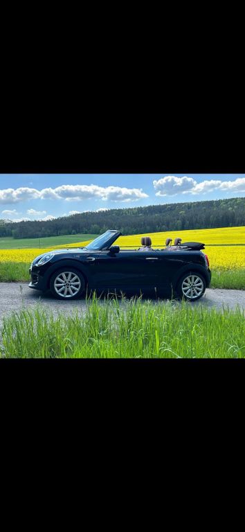 Mini Cabrio 2019