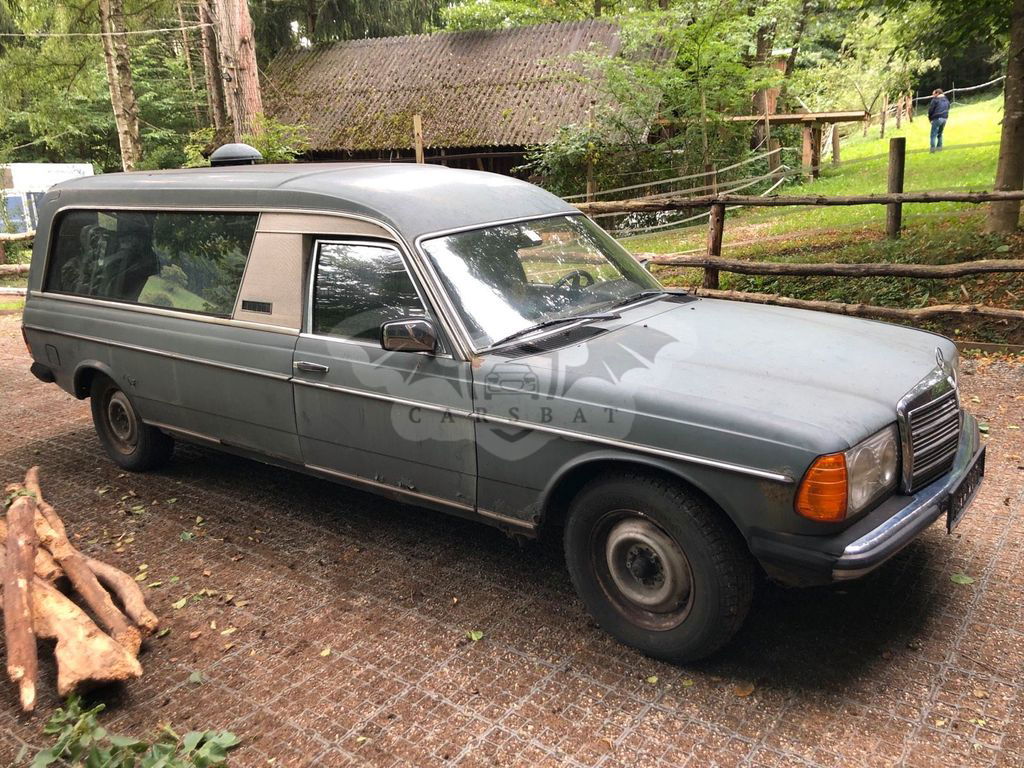 Mercedes-Benz 250 1979