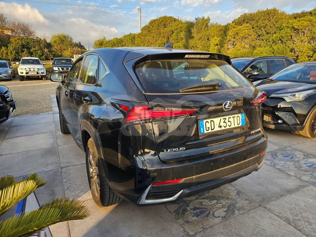 Lexus NX 2020