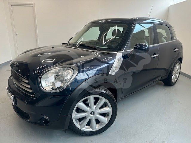 Mini Countryman 2013