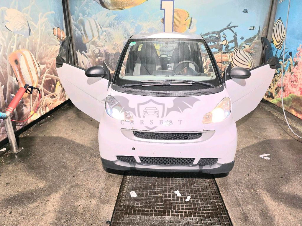 Smart Fortwo 2010