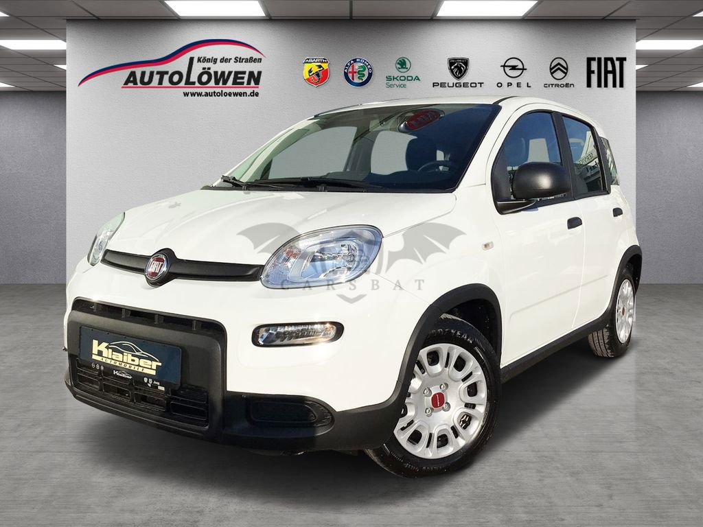 Fiat Panda 2024