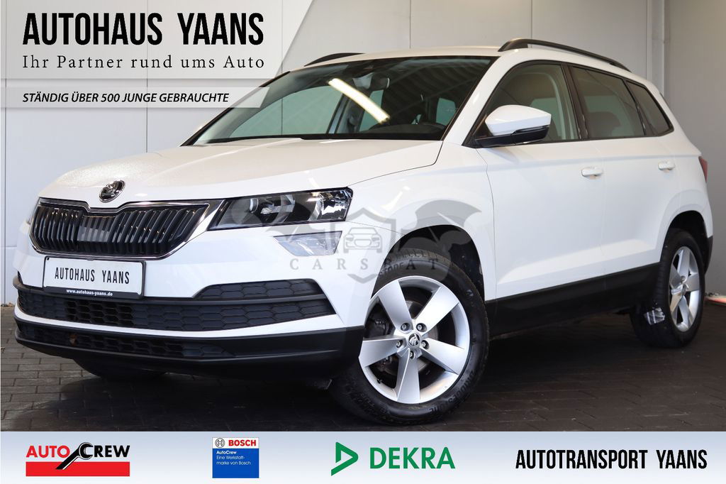 Skoda Karoq 2019