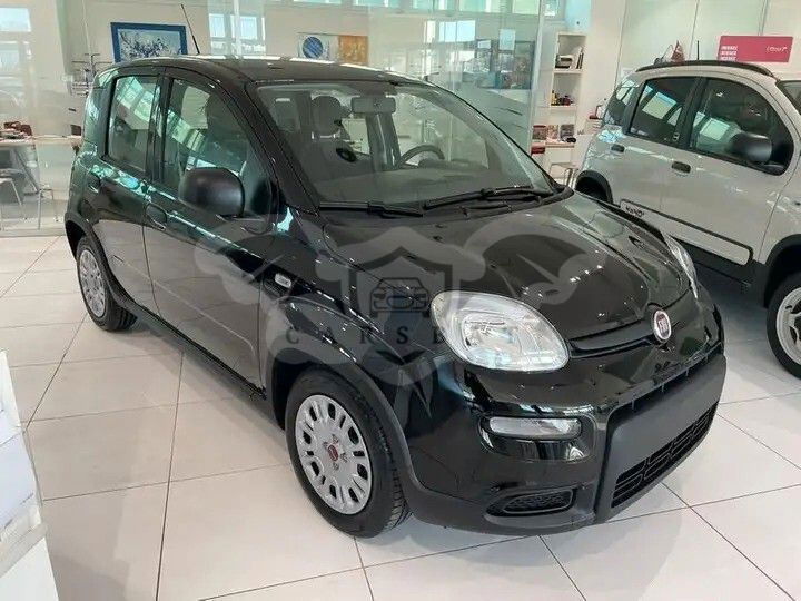 Fiat Panda 2024