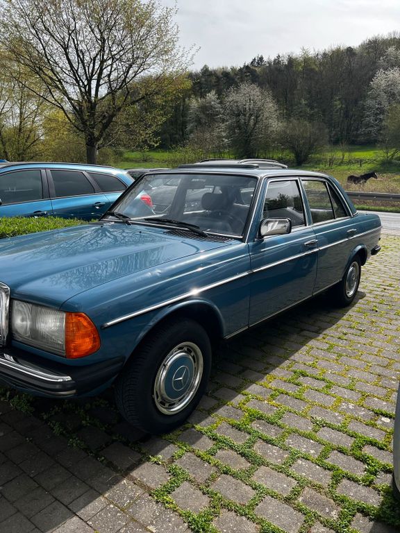 Mercedes-Benz 250 1983