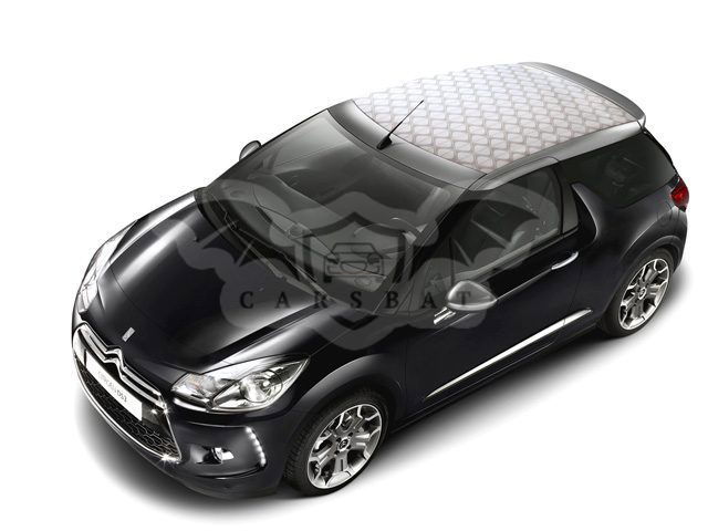 DS DS3 2013