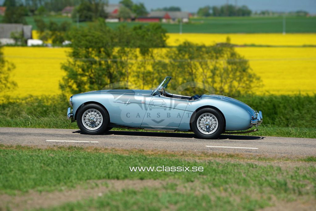 Austin Healey 100 1954