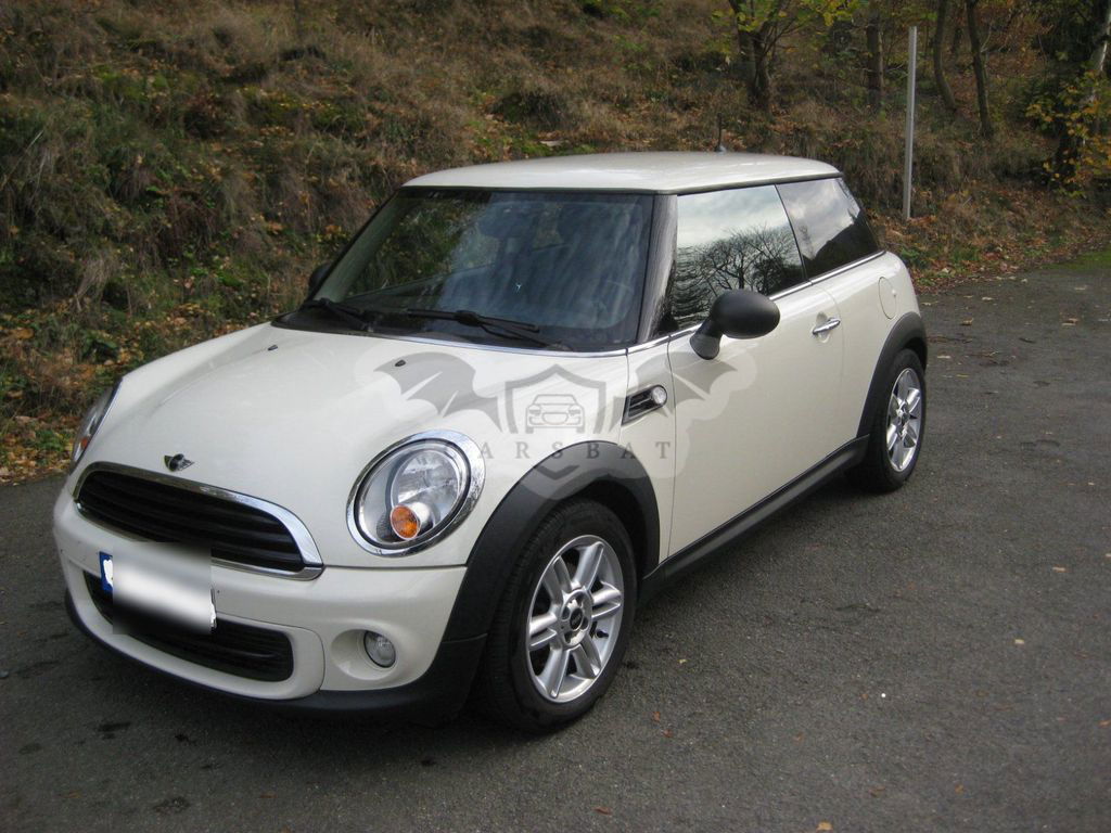 Mini One 2010
