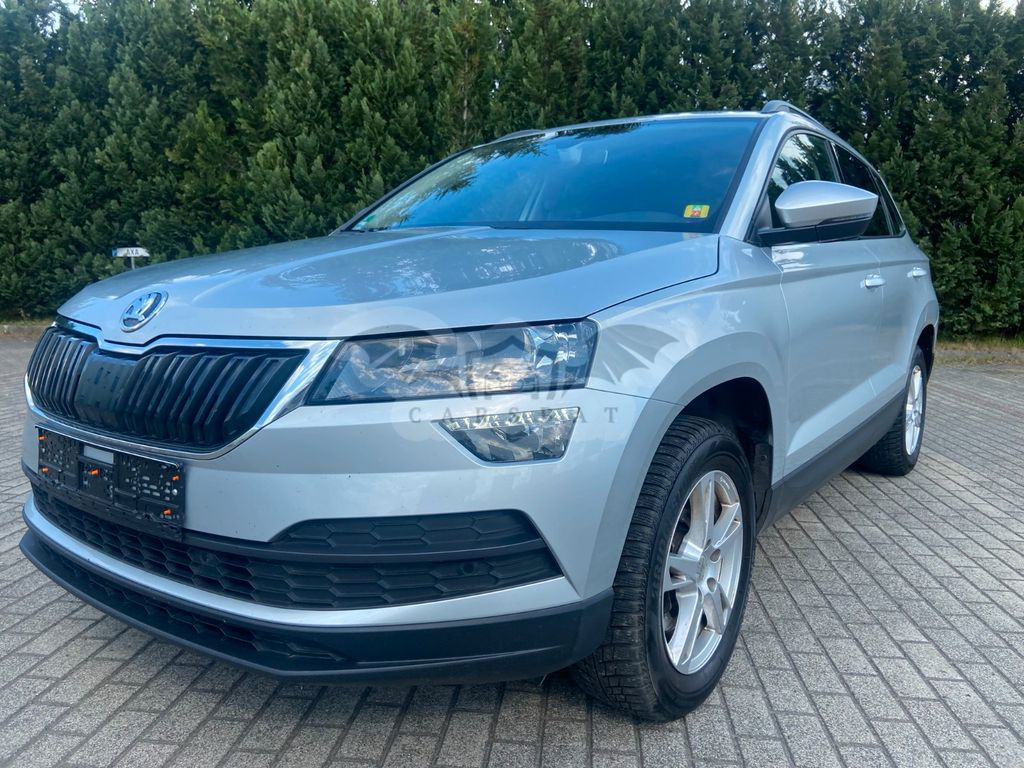 Skoda Karoq 2019