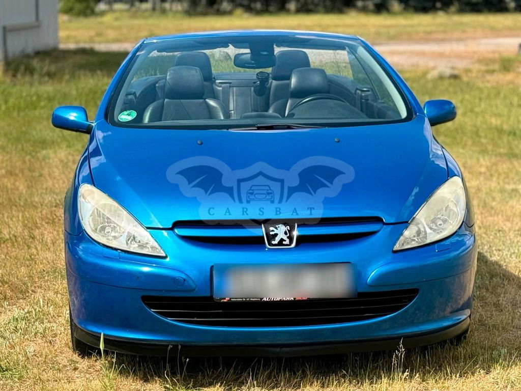 Peugeot 3008 2004