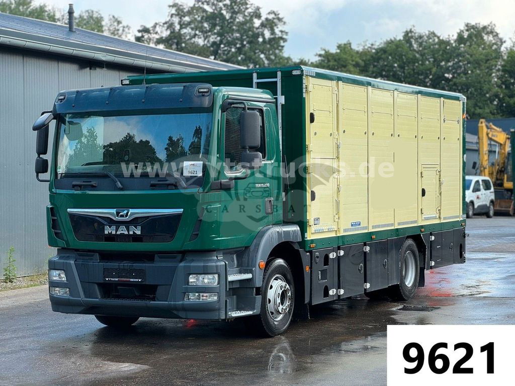 MAN TGM 2019