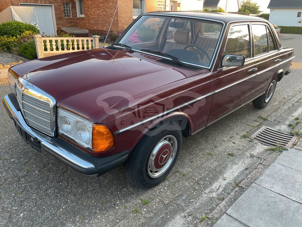 Mercedes-Benz V 200 1981