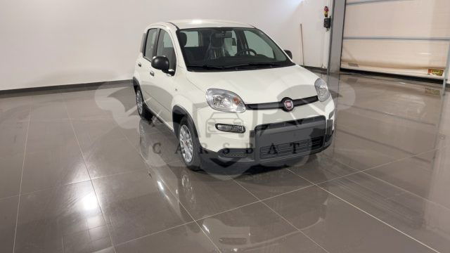 Fiat Panda 2024